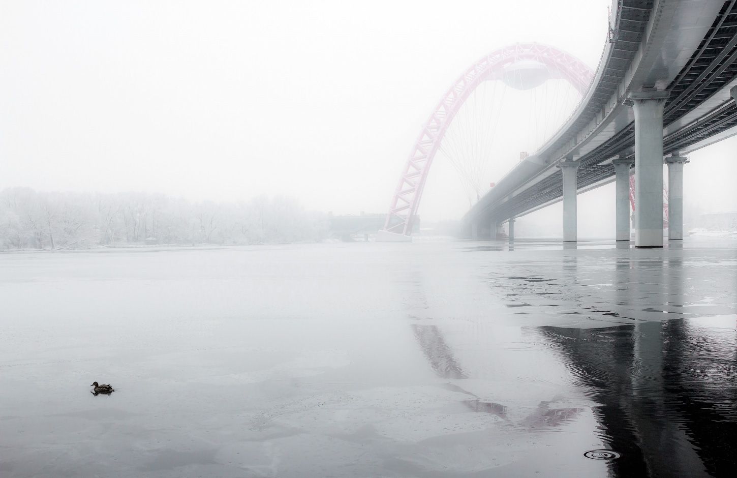 москва, река, зима, мост, живописный, утка, вода, Виктор Климкин