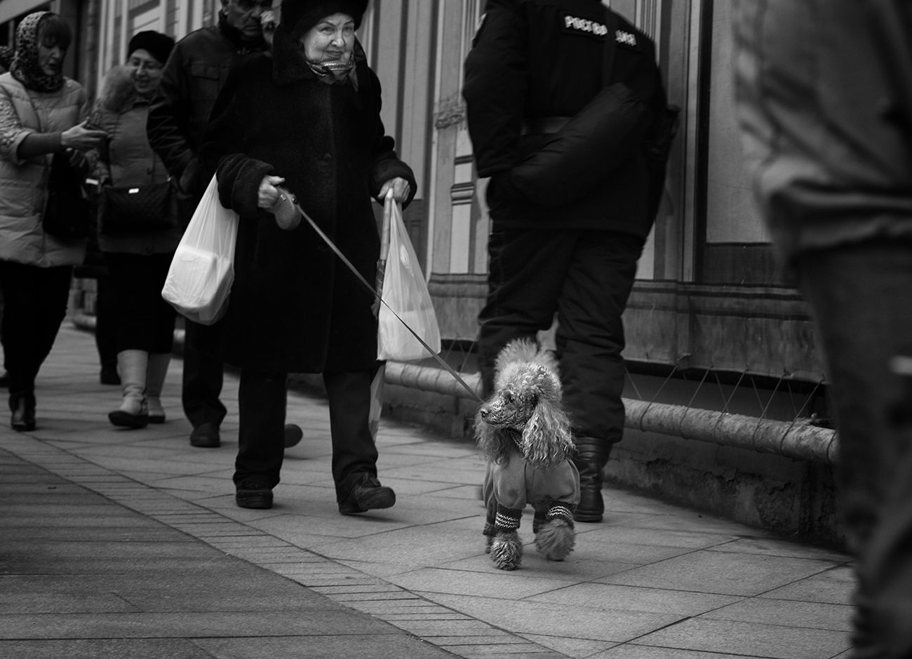 чб фото, уличное фото, стрит фото, город, люди и собаки, Vera Trandina