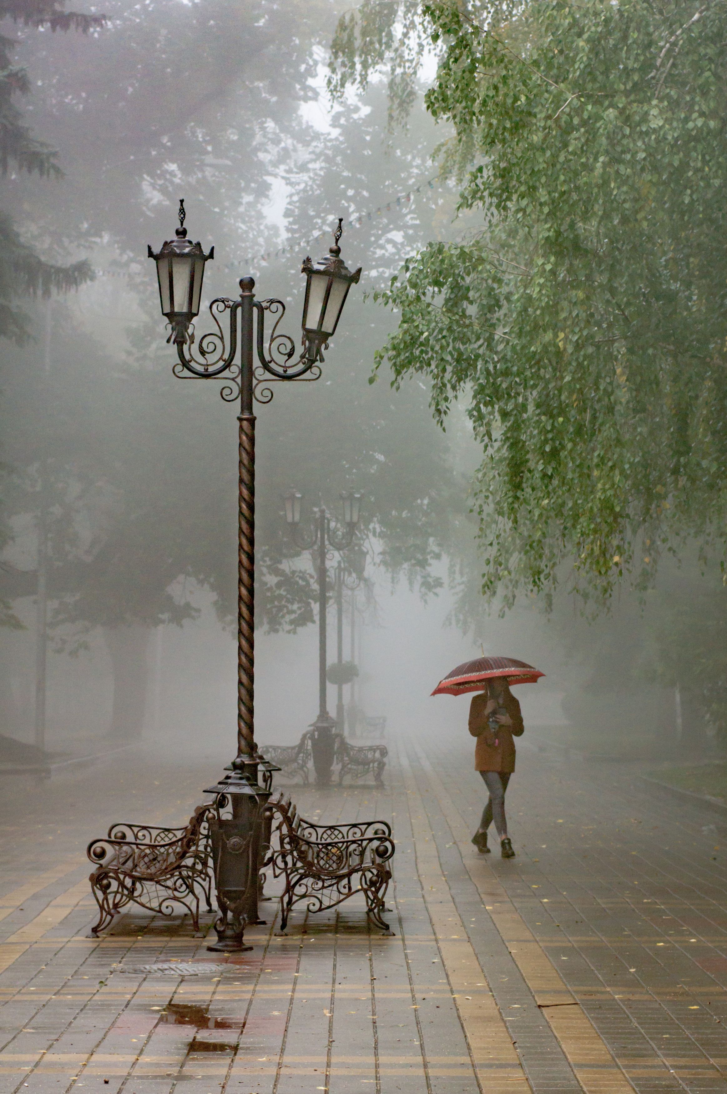 туман, город, улица, стрит, дождь, зонт, Виталий Маслов