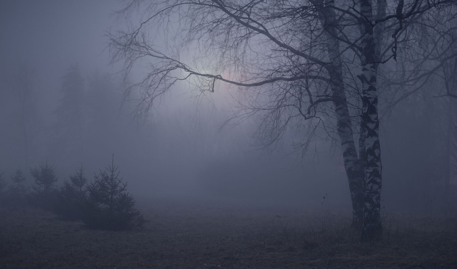 зима туман лес ночь, Александр Жарников