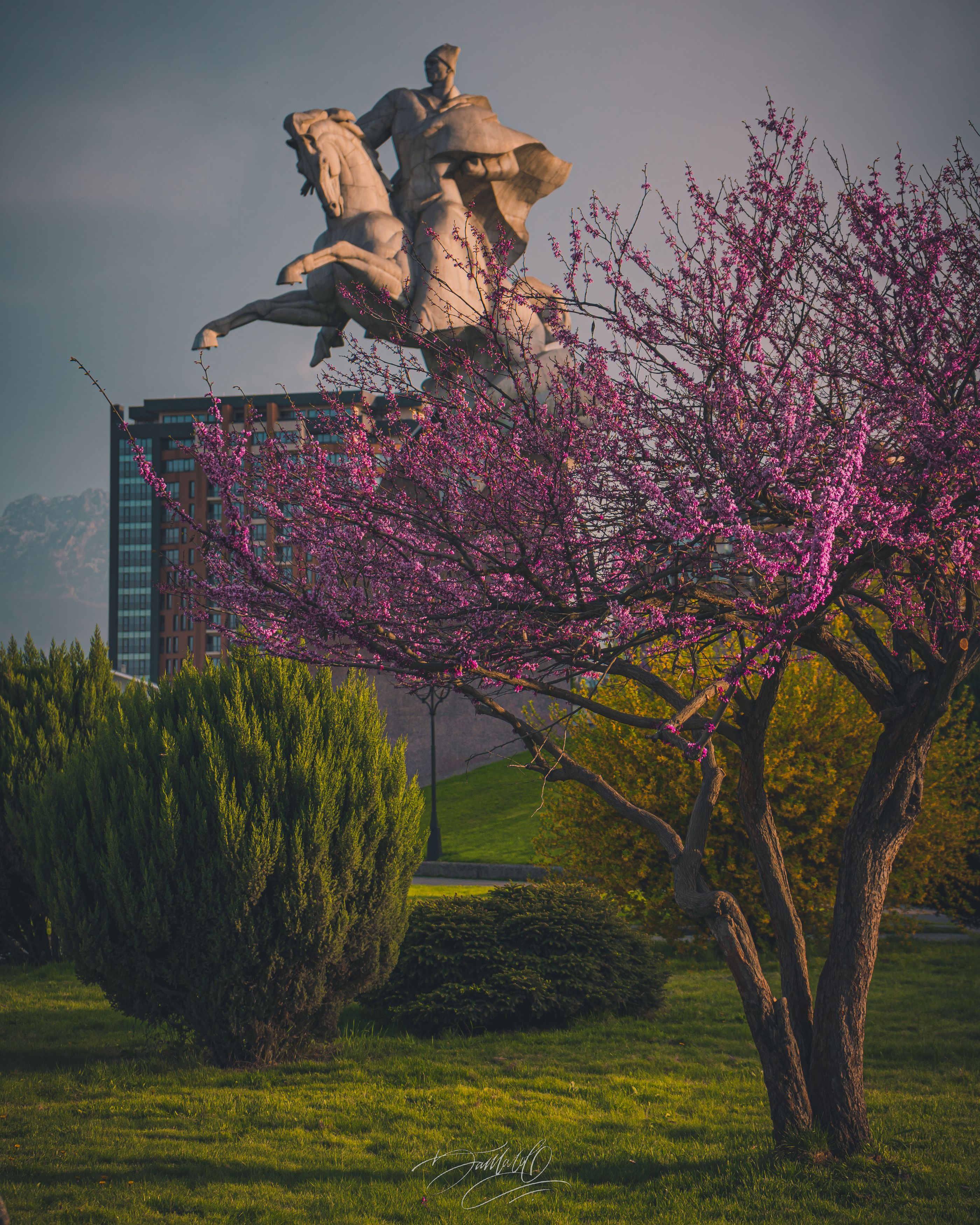 spring, mountains, ossetia, tree, sunlights, city, architecture, sony alpha, Батагов Сармат