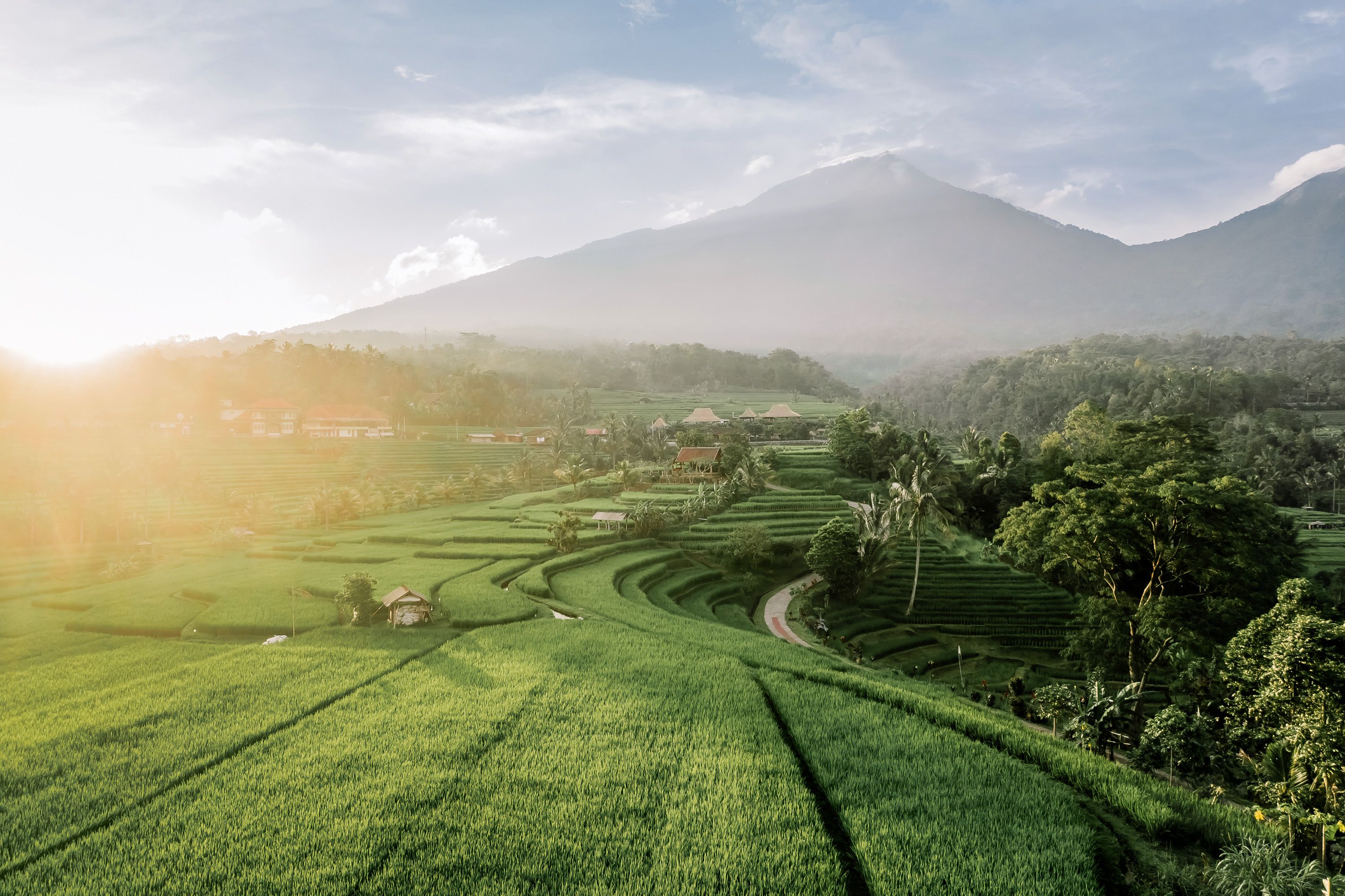 бали, индонезия, bali, indonesia, рисовые террасы, rice terraces, Анастасия Сауль