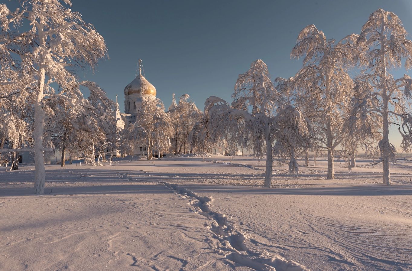 , Максим Ватрушкин