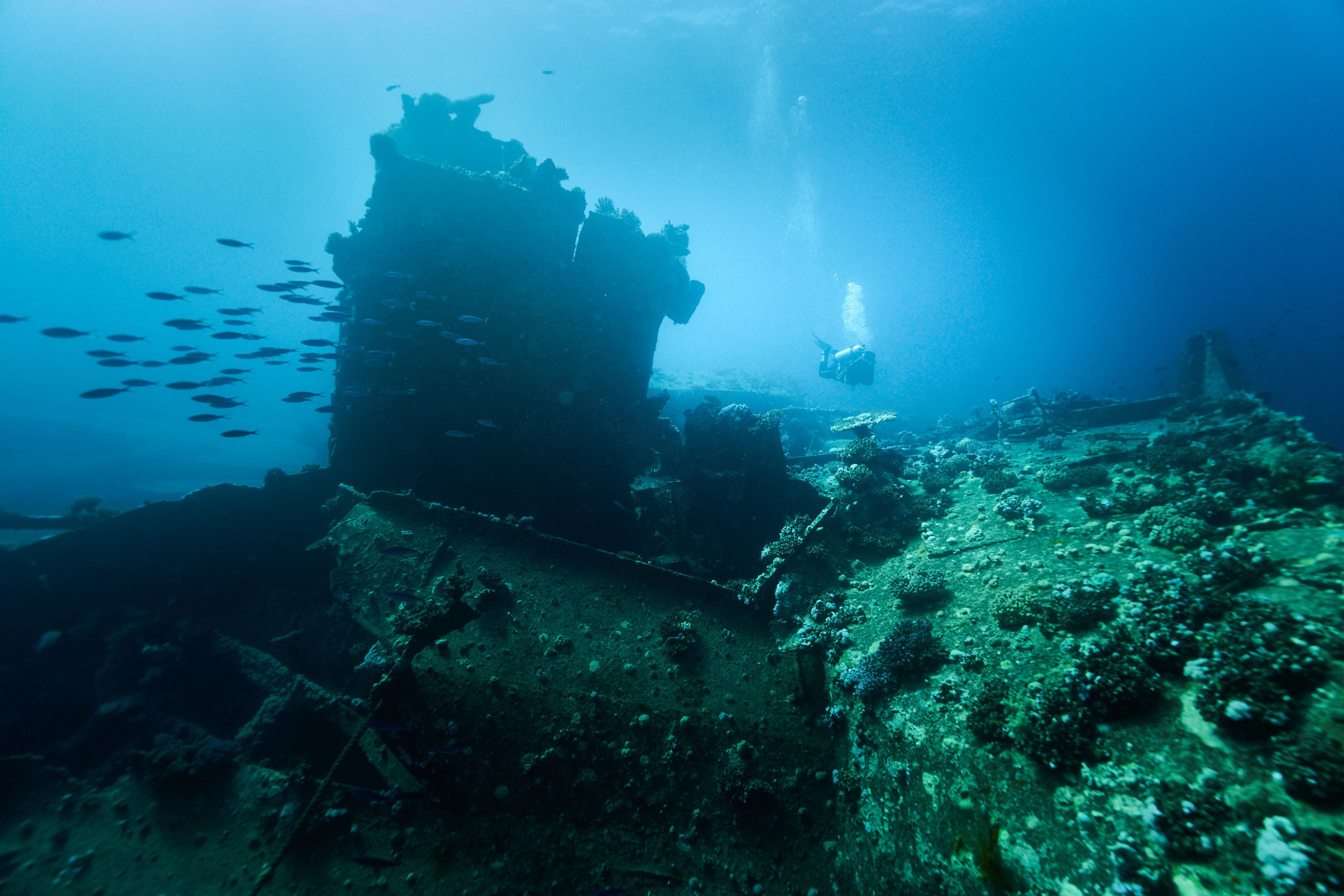 затонувший корабль, подводное фото, рекдайвинг, Павел Карчевский