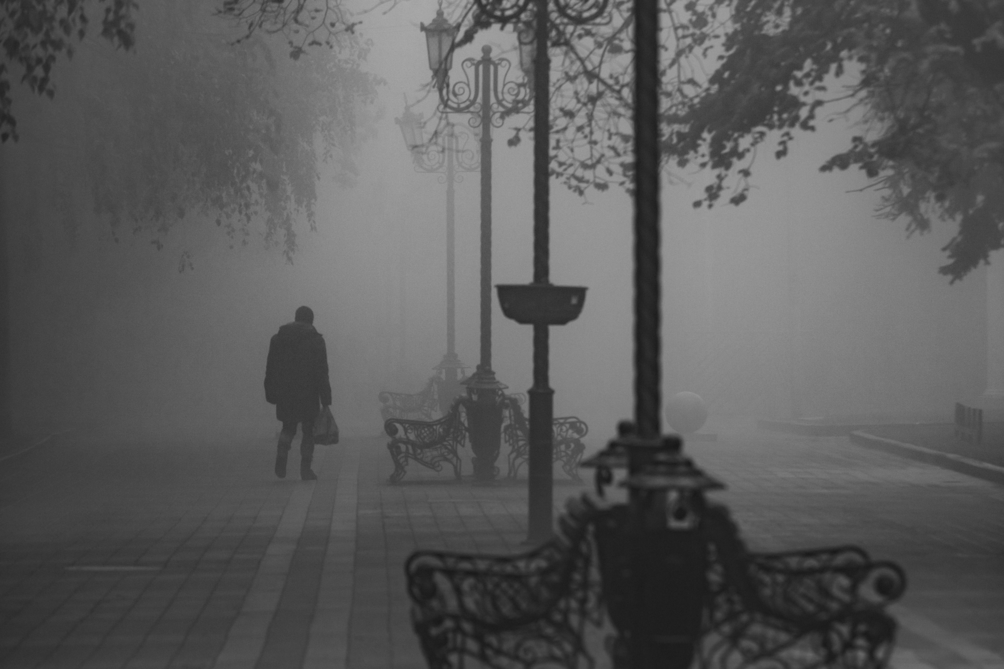 туман, город, улица, стрит,, Виталий Маслов