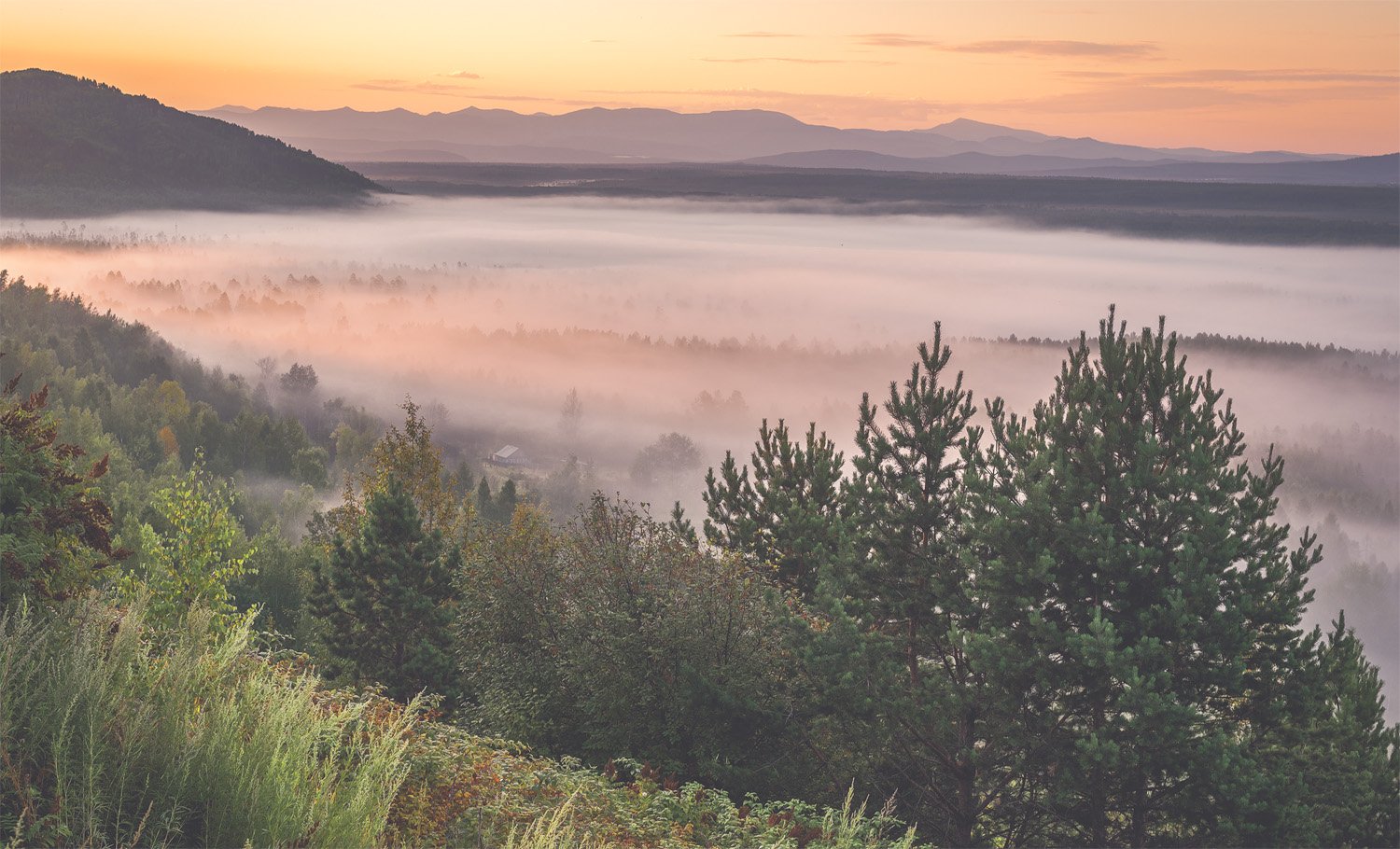 Дальний восток, Тайга, Туман, Утро, Хабаровский край, Чегдомын, Екатерина (PhotoJourneys.ru) Васягина