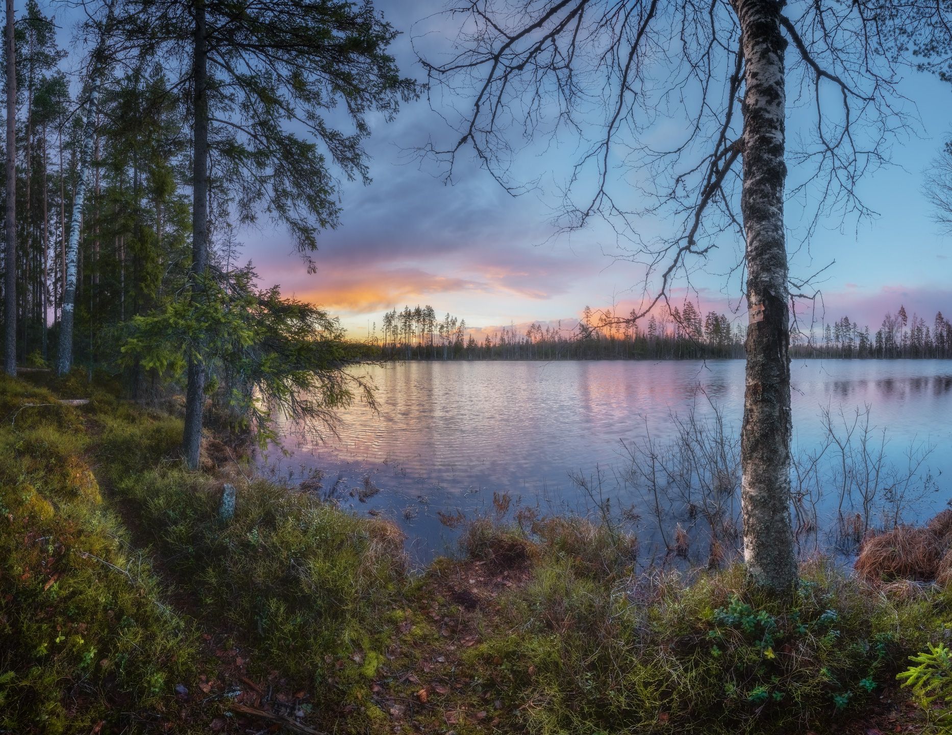 лес, озеро, закат, Марголин Алексей