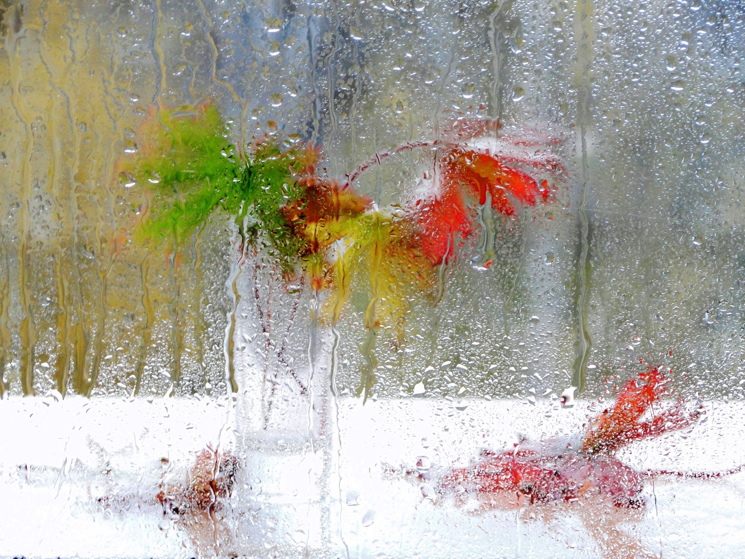 натюрморт, фотонатюрморт, окно, осень, дождь, наталья казанцева, Наталья Казанцева