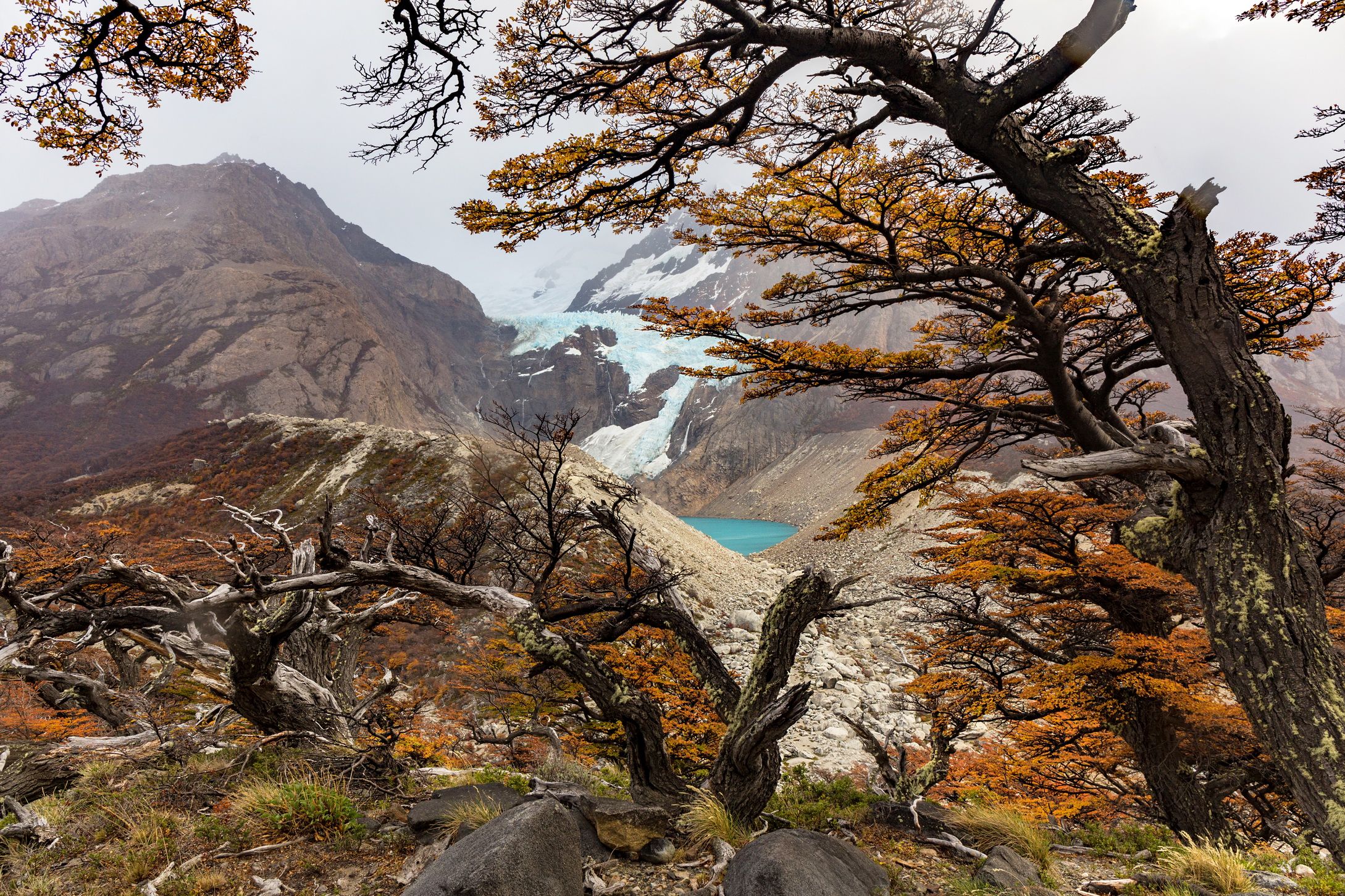 landscape, argentina, glacier, nature, patagonia, Михаил Конарев