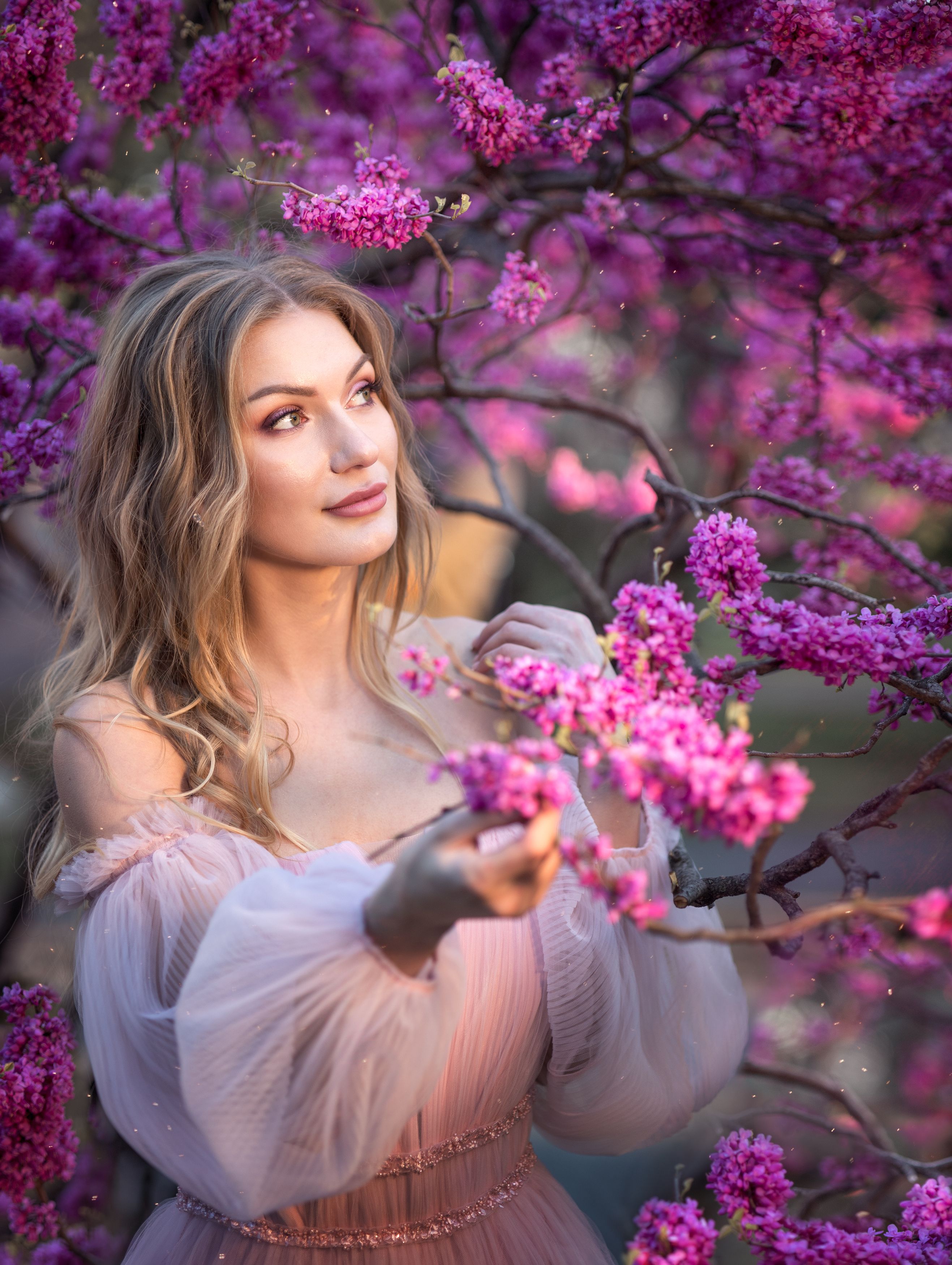 цветение парк фуксия блондинка цветущий сад закат весна цветы элегантность грация красота, Ирина Мухина