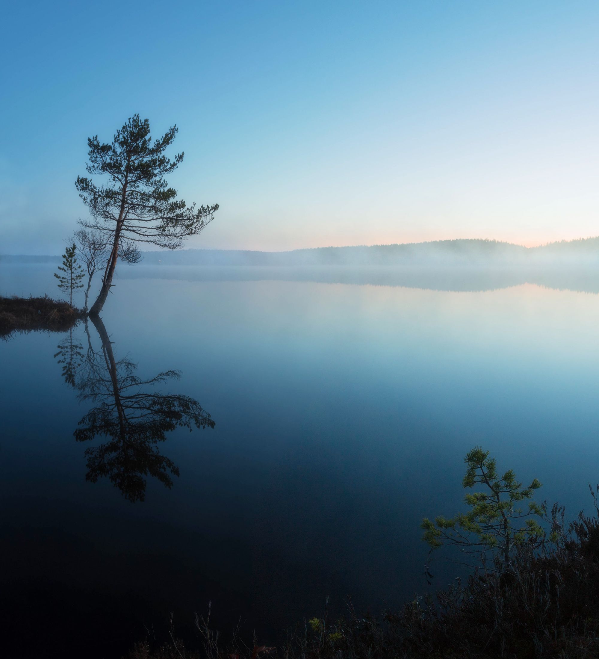 озеро, весна, туман ,дерево, утро, силуэт, карелия, природа, пейзаж, отражение, Павел Ващенков