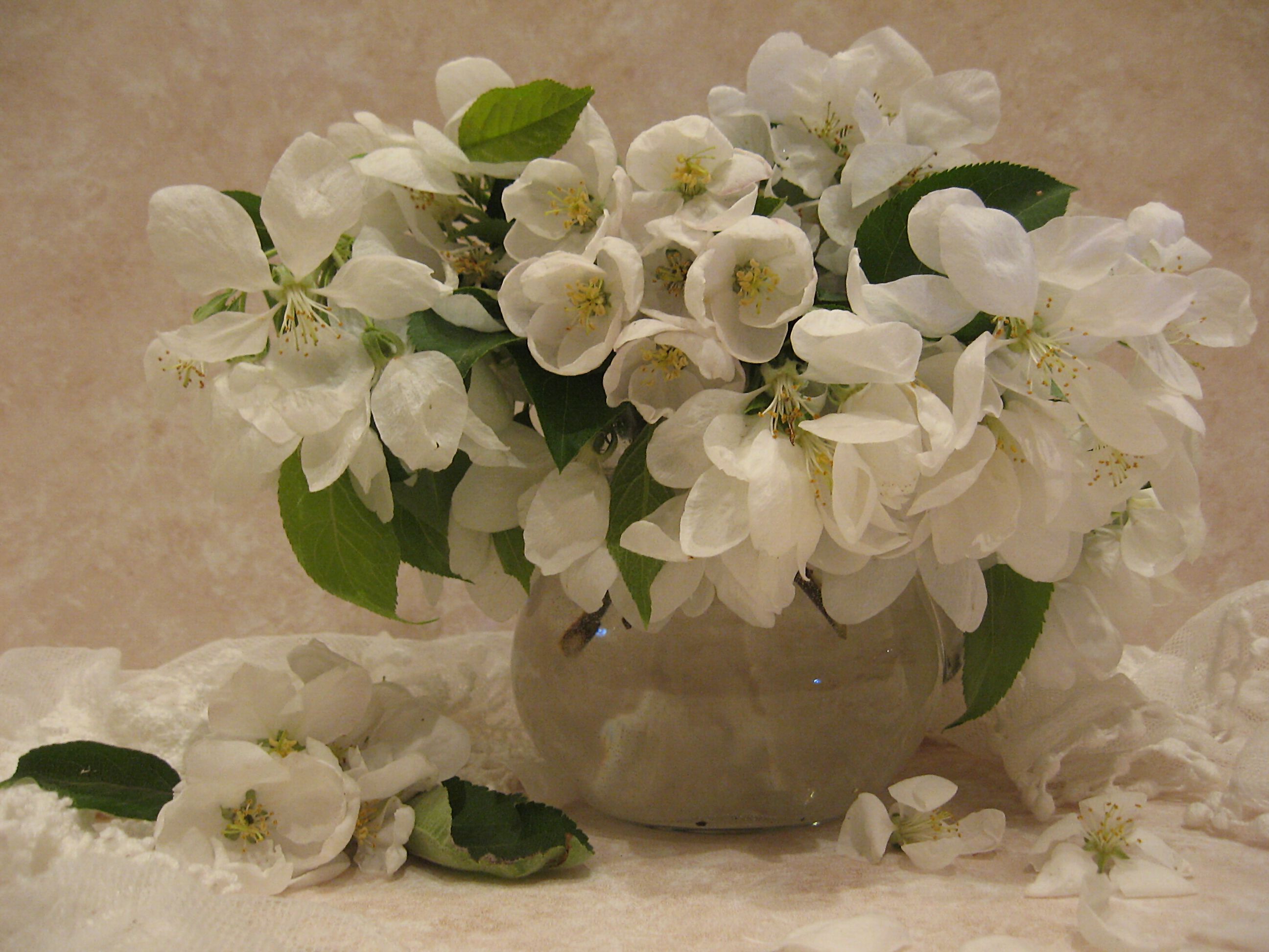 цветы, букет, ветки, яблоня, Наталия Тихомирова