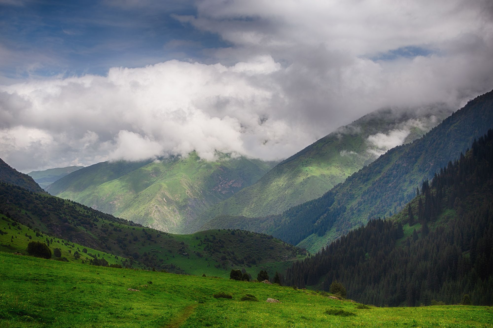 кыргызстан,горы, ущелье туюк, Элина Магалимова
