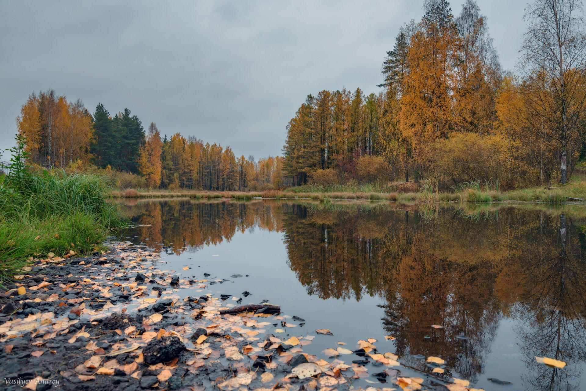 осень, природа, отражение, река лапка, ленинградская область, Vasilyev Andrey