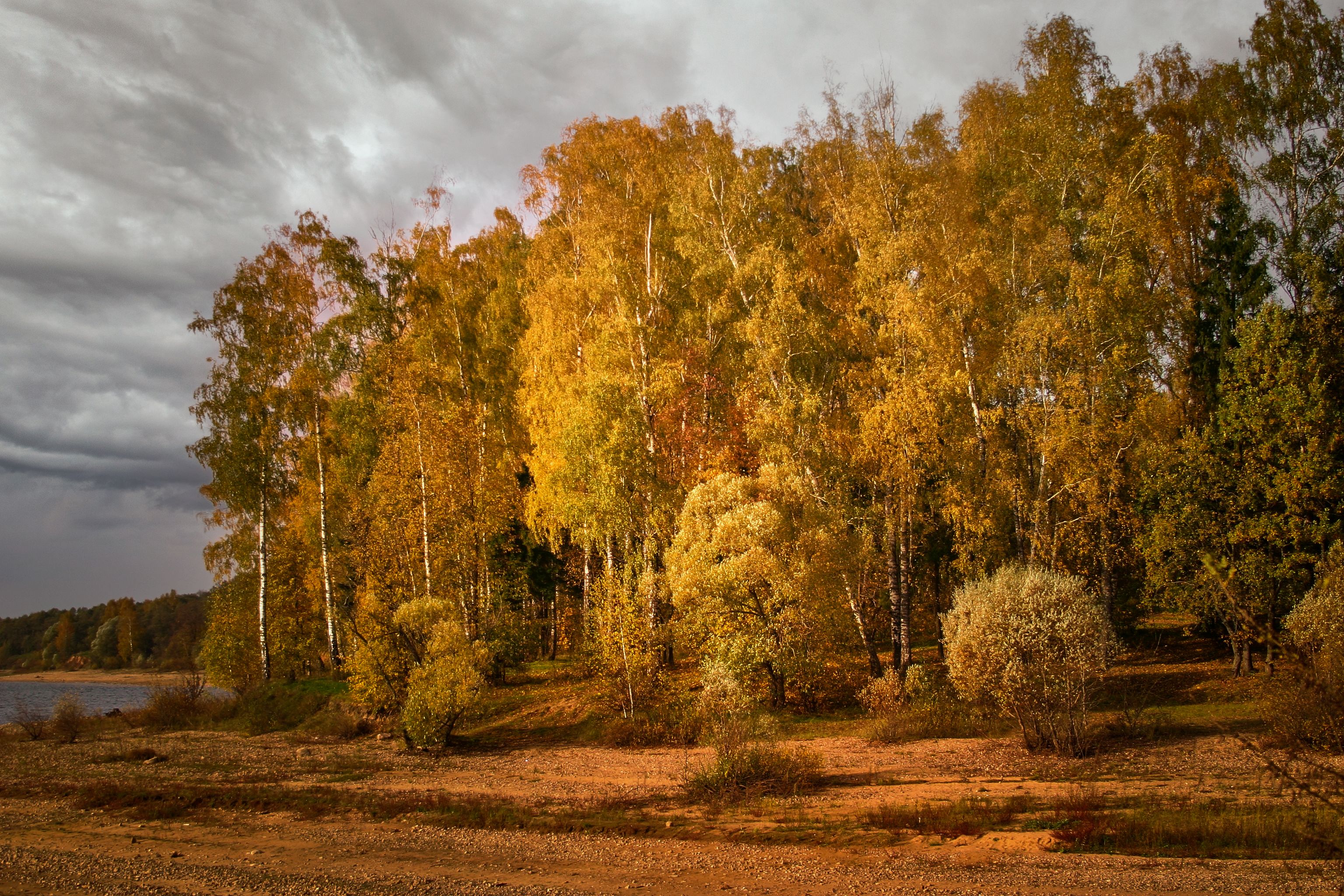 , Булатов Дмитрий