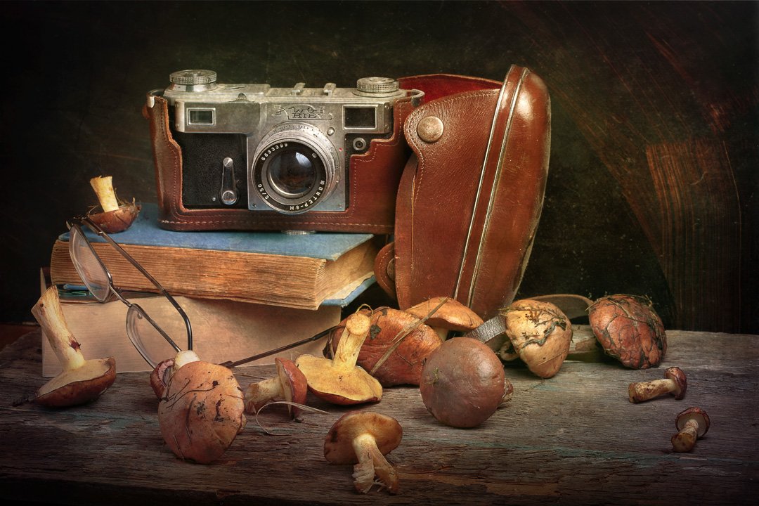 натюрморт, картина, грибы, фотоаппарат, книга, still life, mushrooms, book, photo, Станислав Аристов