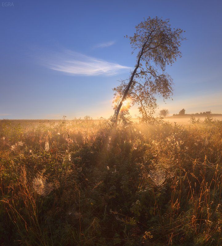 карелия, кижи, туман, EGRA