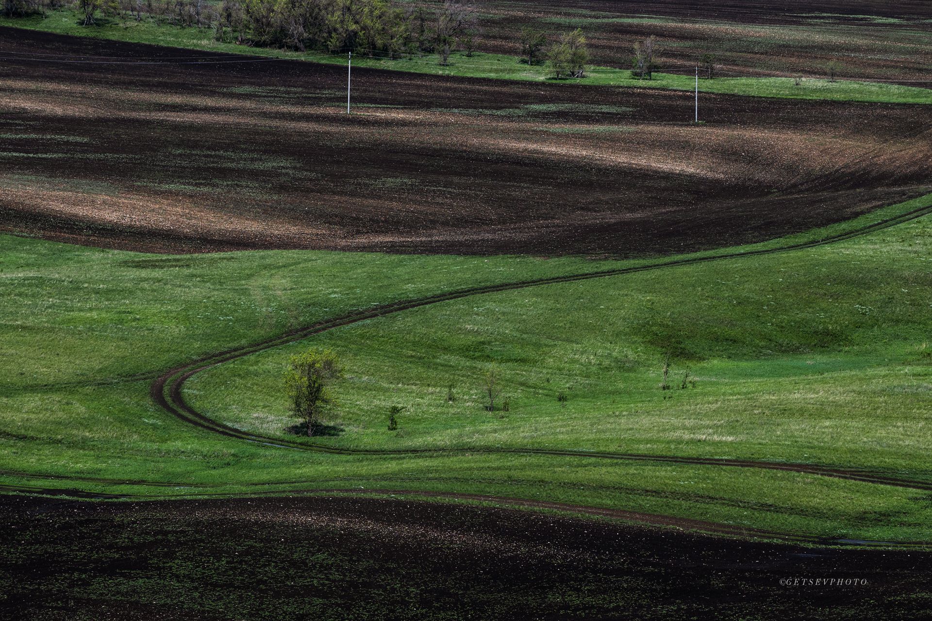 поле, весна, зелень, земля, пейзаж, Евгений Гецев