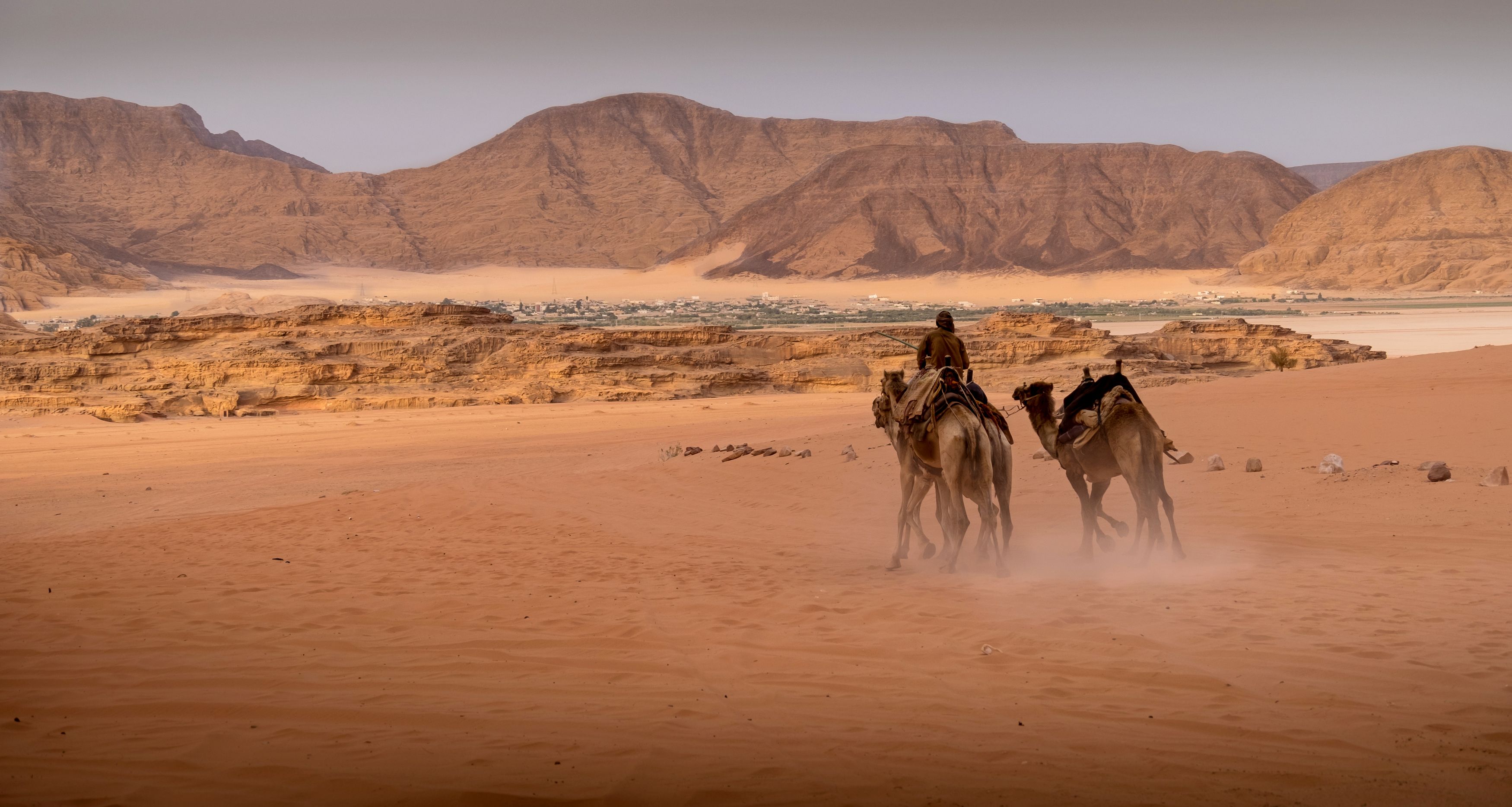 jordan, верблюд, wadi rum, desert, sand, rocks, нд, иордания, вади рам, пустыня, песок, скалы, ближний восток нд, ближний восток,  азия, Демкина Надежда