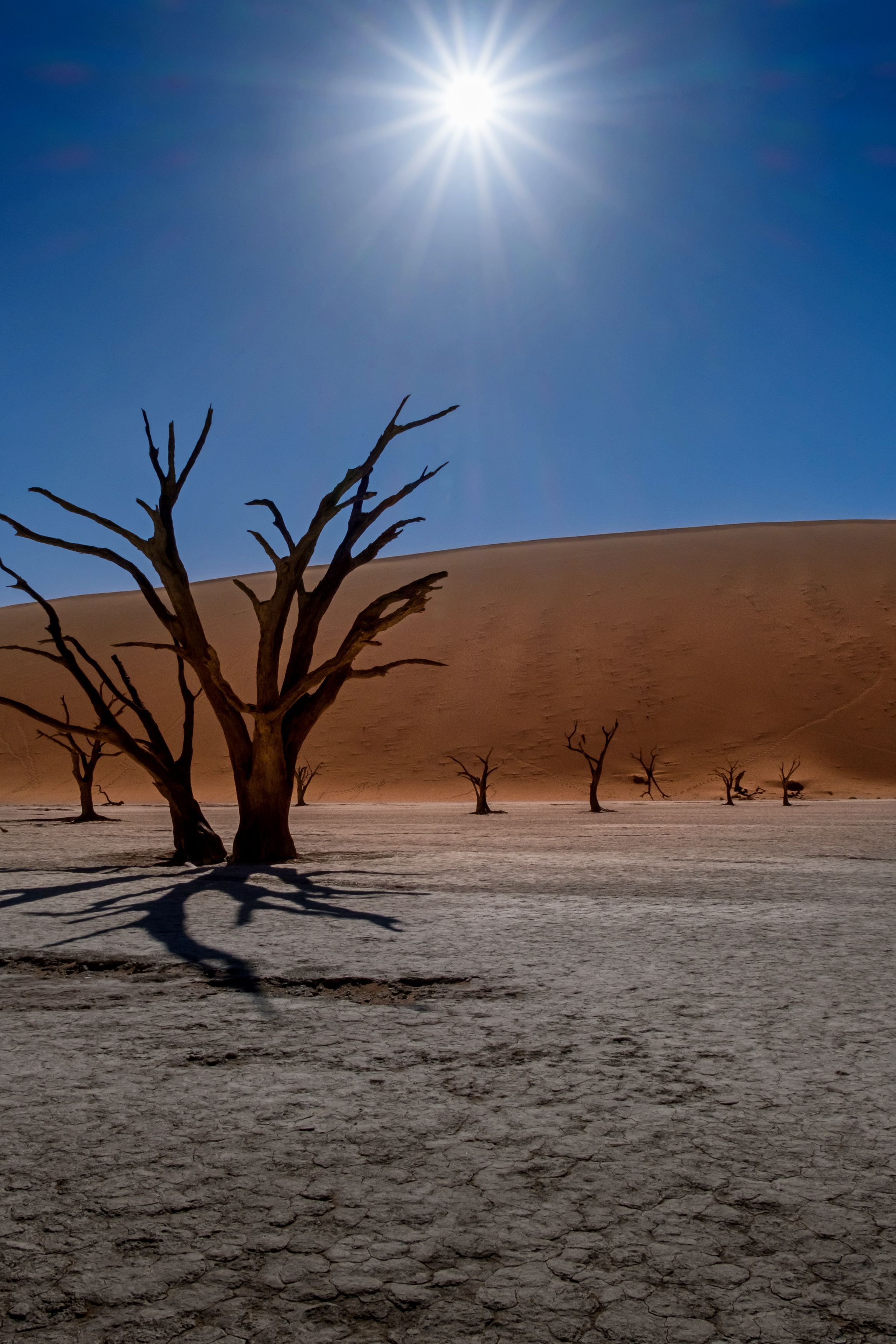 солнце, африка, намибия, соссусфлей, дюна, пустыня, sossusvlei, песок, africa, нд, namibia, sossusflei, dune, desert, sand, пейзаж, природа, намибия нд, Демкина Надежда