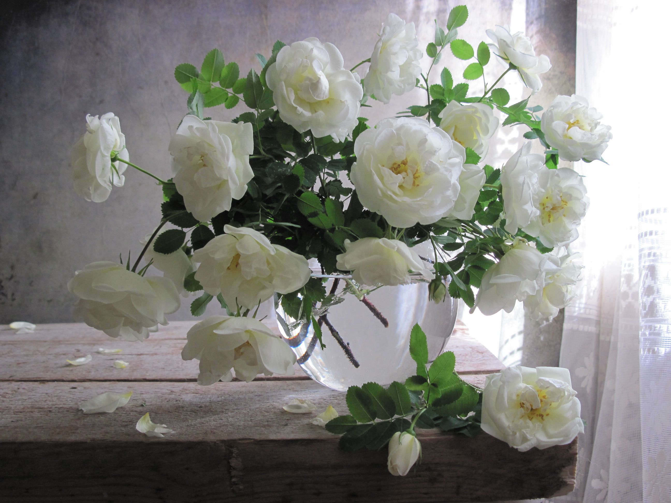 цветы, букет, розы, белый цвет, ваза, стекло, Наталия Тихомирова