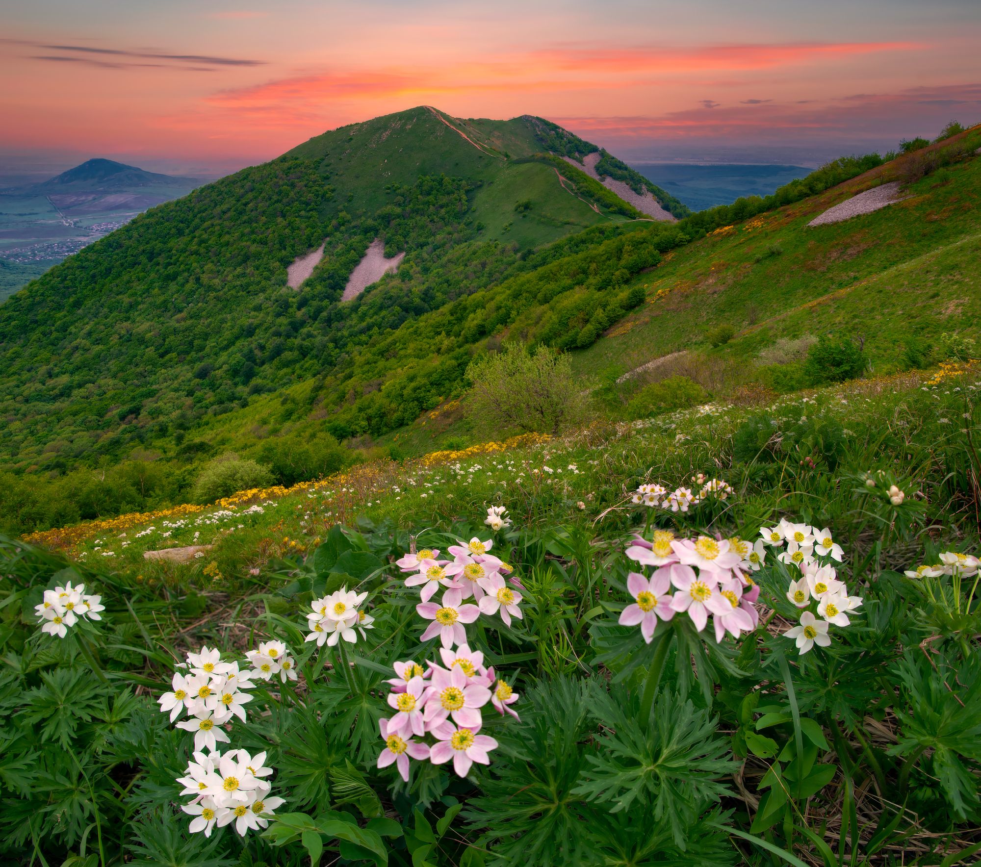 бештау,кмв,май,вечер,анемона,природа,пейзаж, Елена Брежицкая