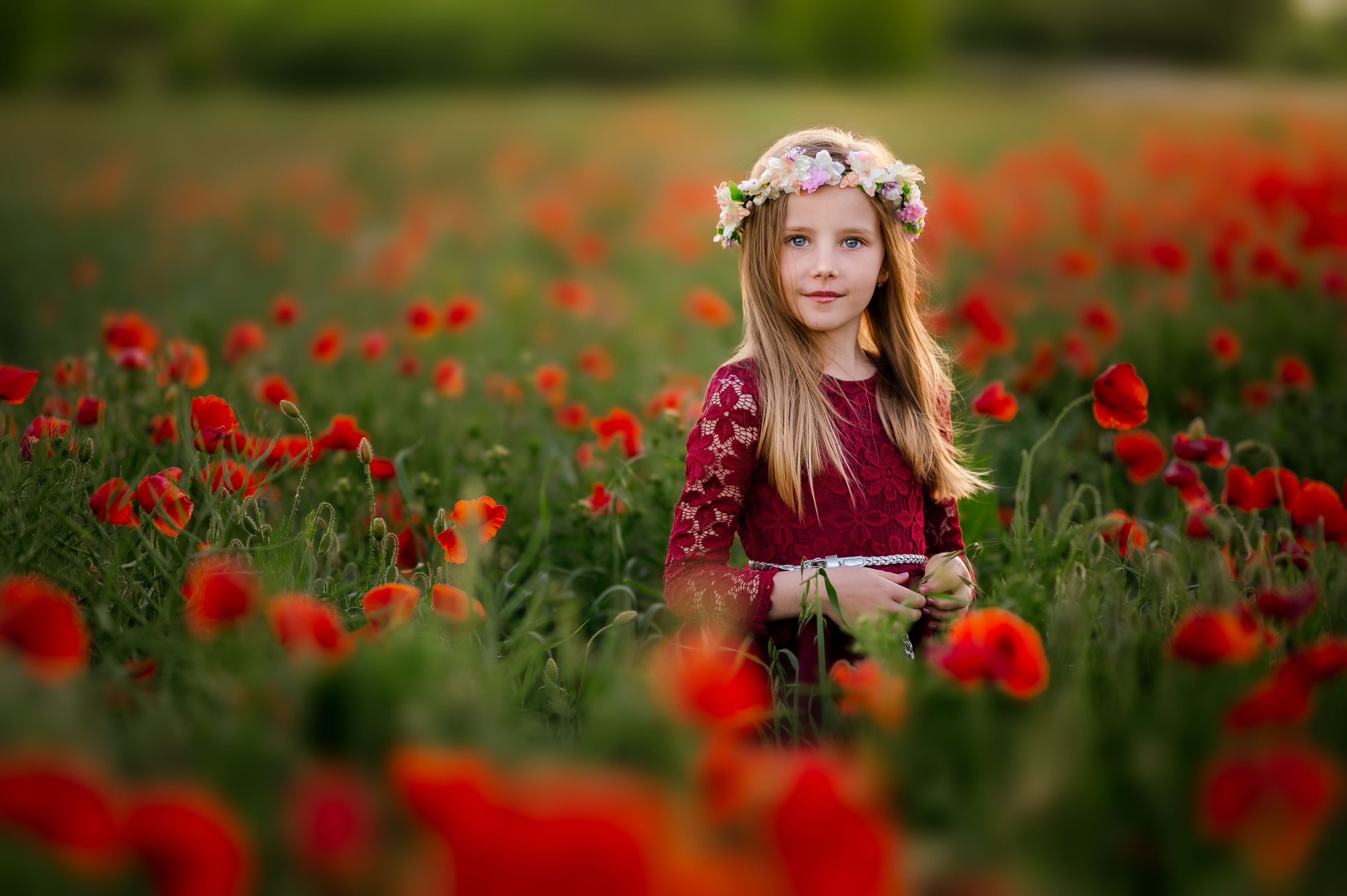 Girl, kids, color, flowers, red, princess, fairy, nature, sun., Stanislav Judas