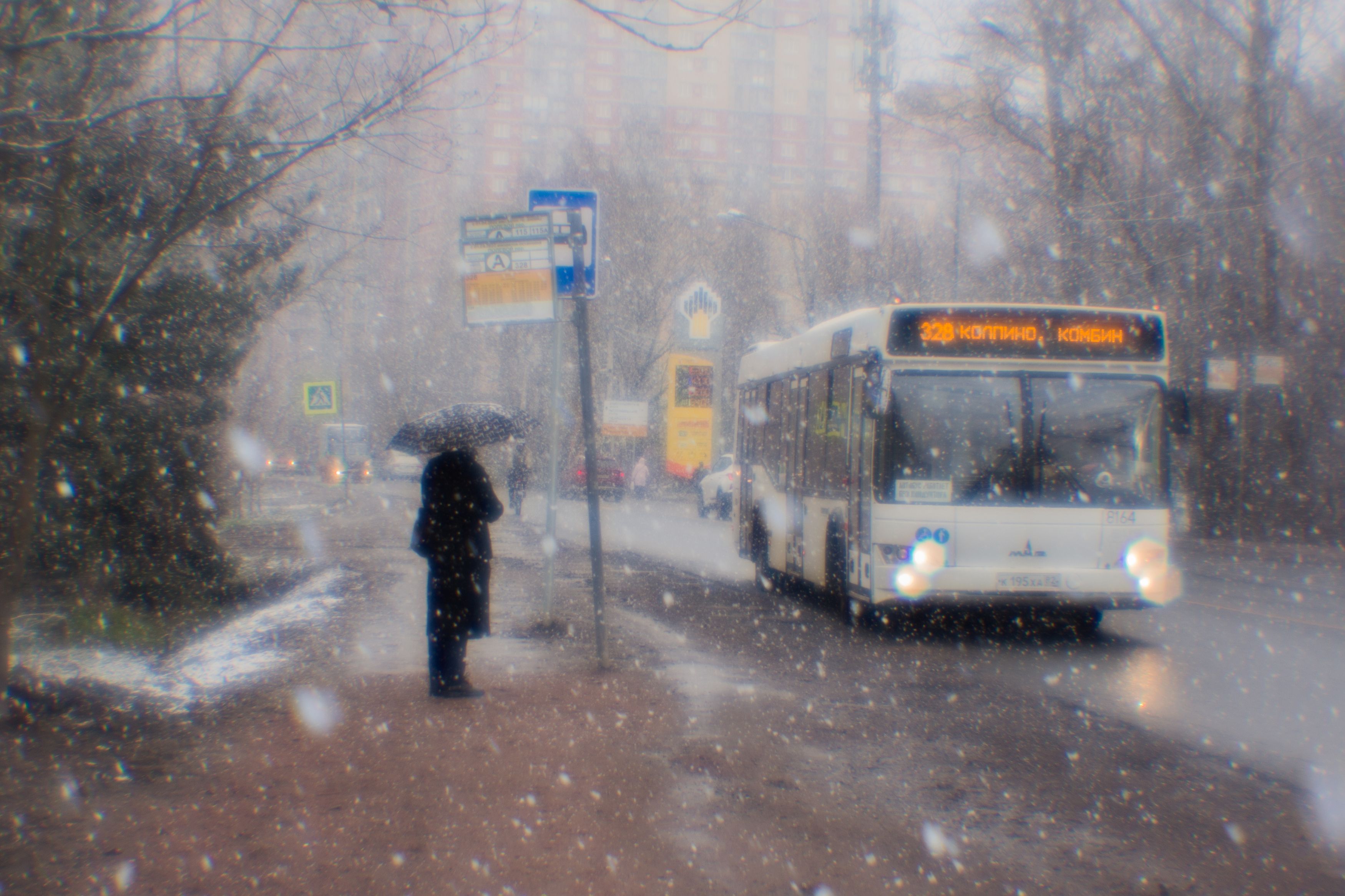 город, монокль, снег, автобус, остановка, улица, Инна Юдина