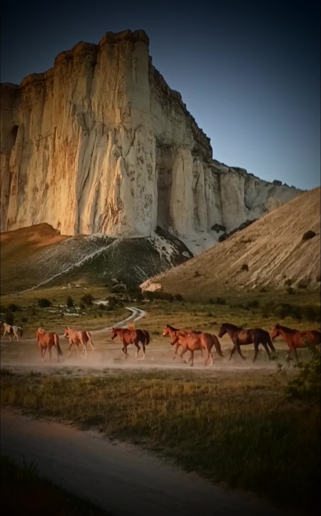крым, пейзаж, лето, лошади, Sergei Zhigulskii