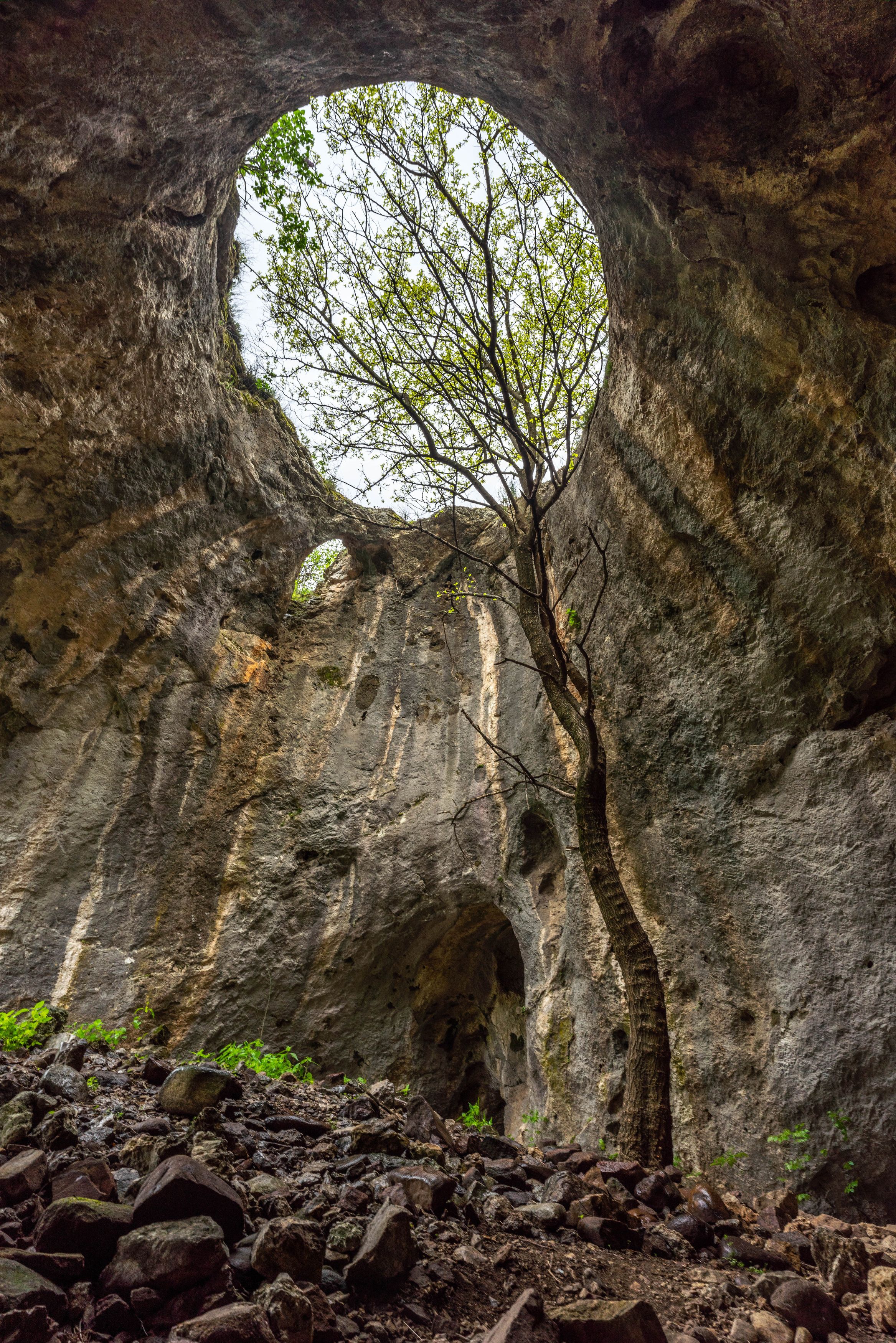 cave nature hiking vertical landscapes tree, viktor demidov