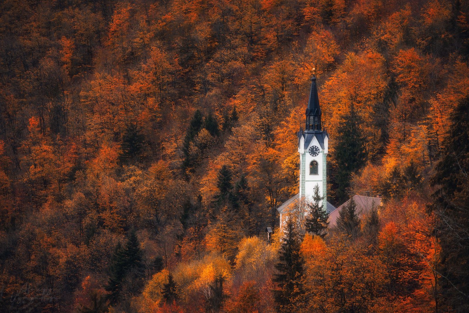 slovenia, outdoor, autumn, red, yellow, trees, church, travel, topview, Алексей Вымятнин