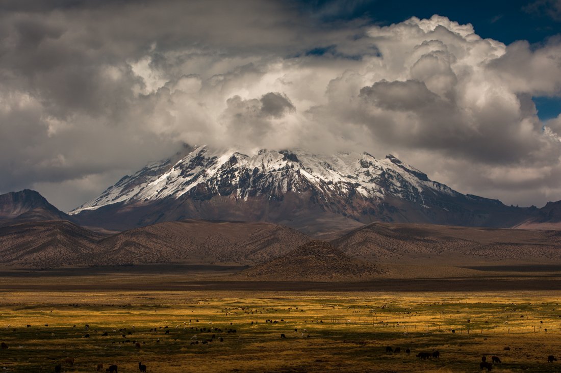 5 самых высоких вулканов россии. Сахама Боливия. Сахама вулкан. Сахама Nevado Sajama. Сахама вершина.