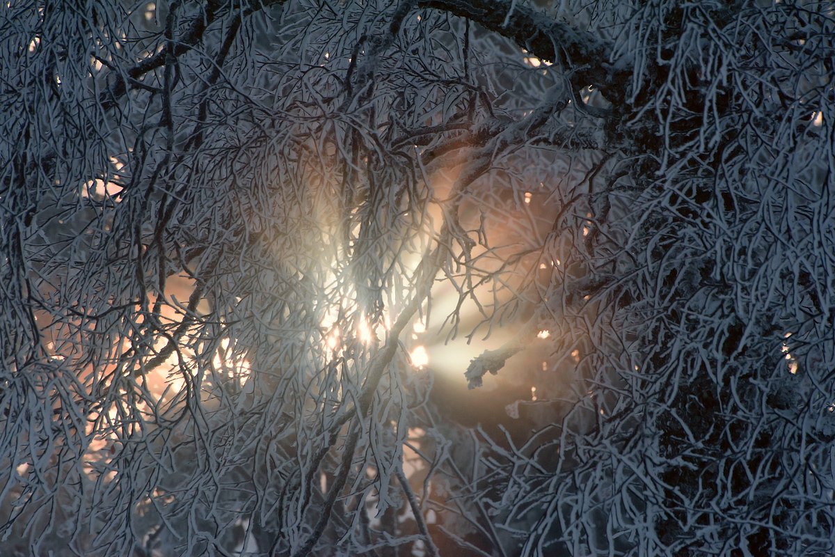 солнце, облака, лучи, ветки, зима, шерегеш, горная шория, Валерий Пешков