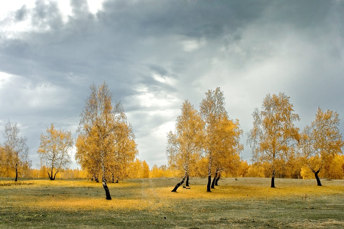 , Качурин Алексей