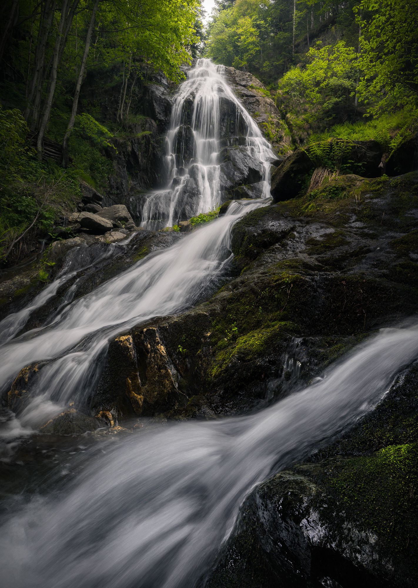 Landscape waterfall spring forest Alps mood italy, Stefano Balma