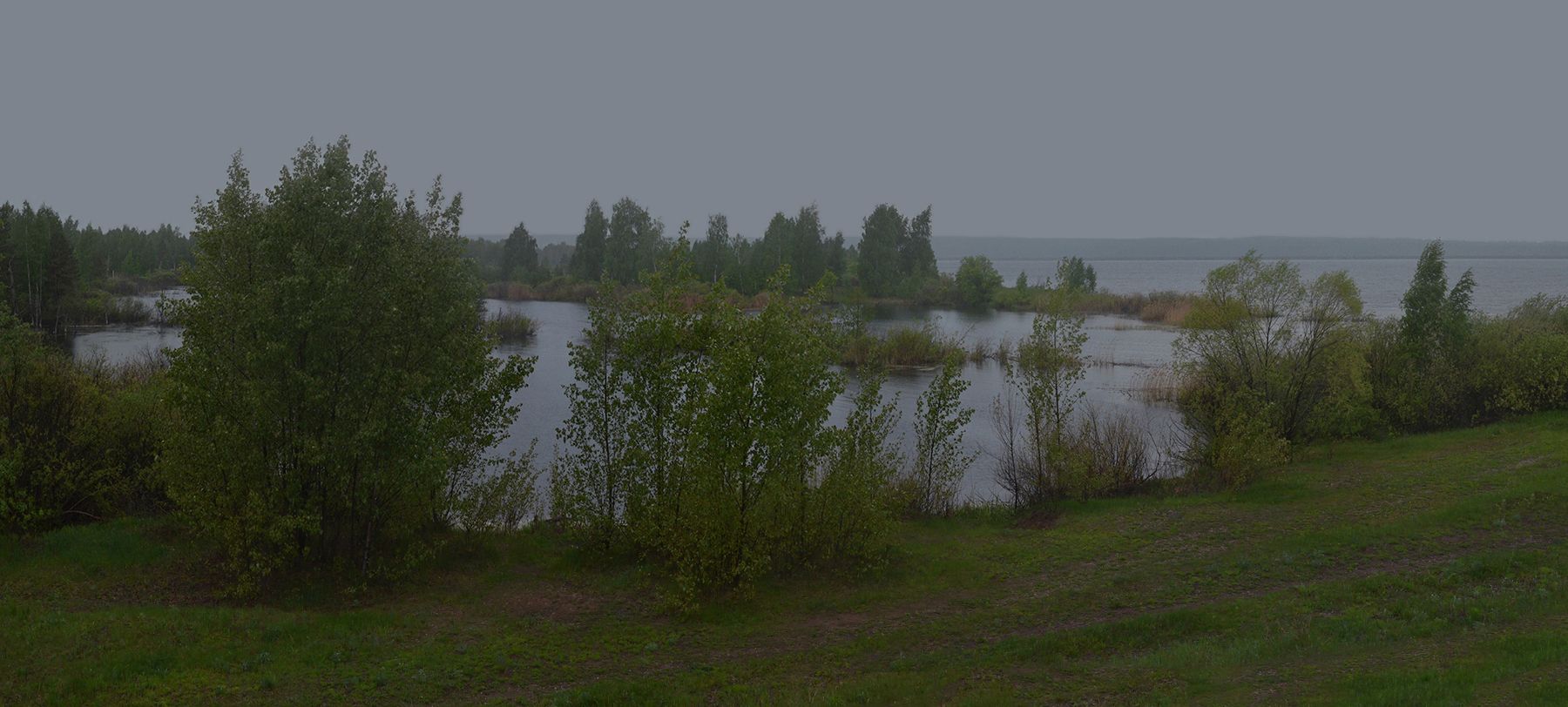 вечер, дождь, ветер, непогода, озеро, лес,  Irina Shapronova