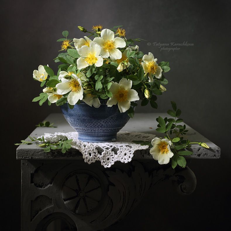 натюрморт, цветы, лето, шиповник, Tatyana Karachkova