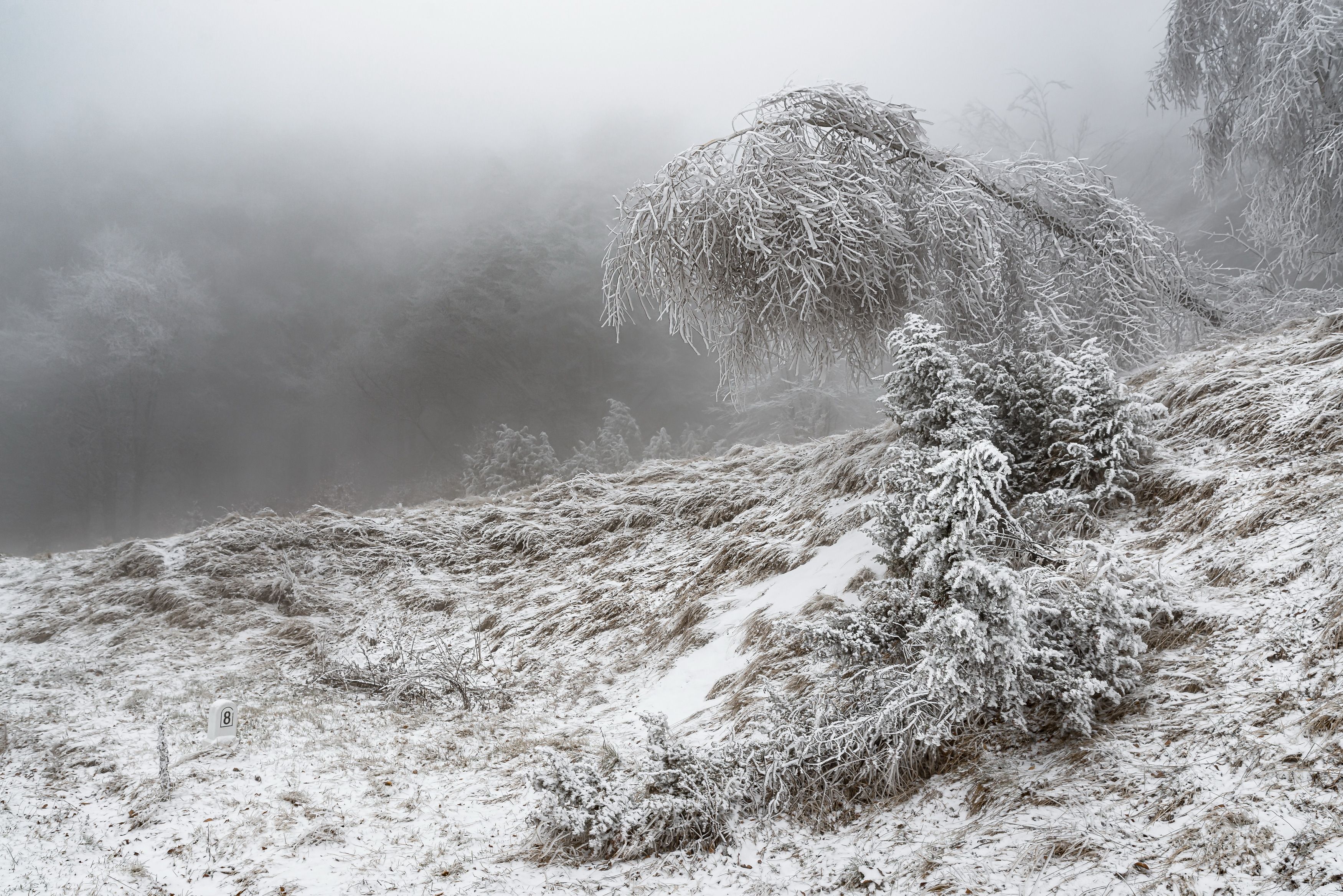 Пейзаж горы Румыния Карпаты снег туман , Вадим Кулинский