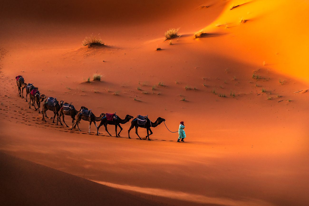 landscape nature scenery spring desert sahara sand berber bedouin sunrise morning пейзаж рассвет пустыня, Александър Александров
