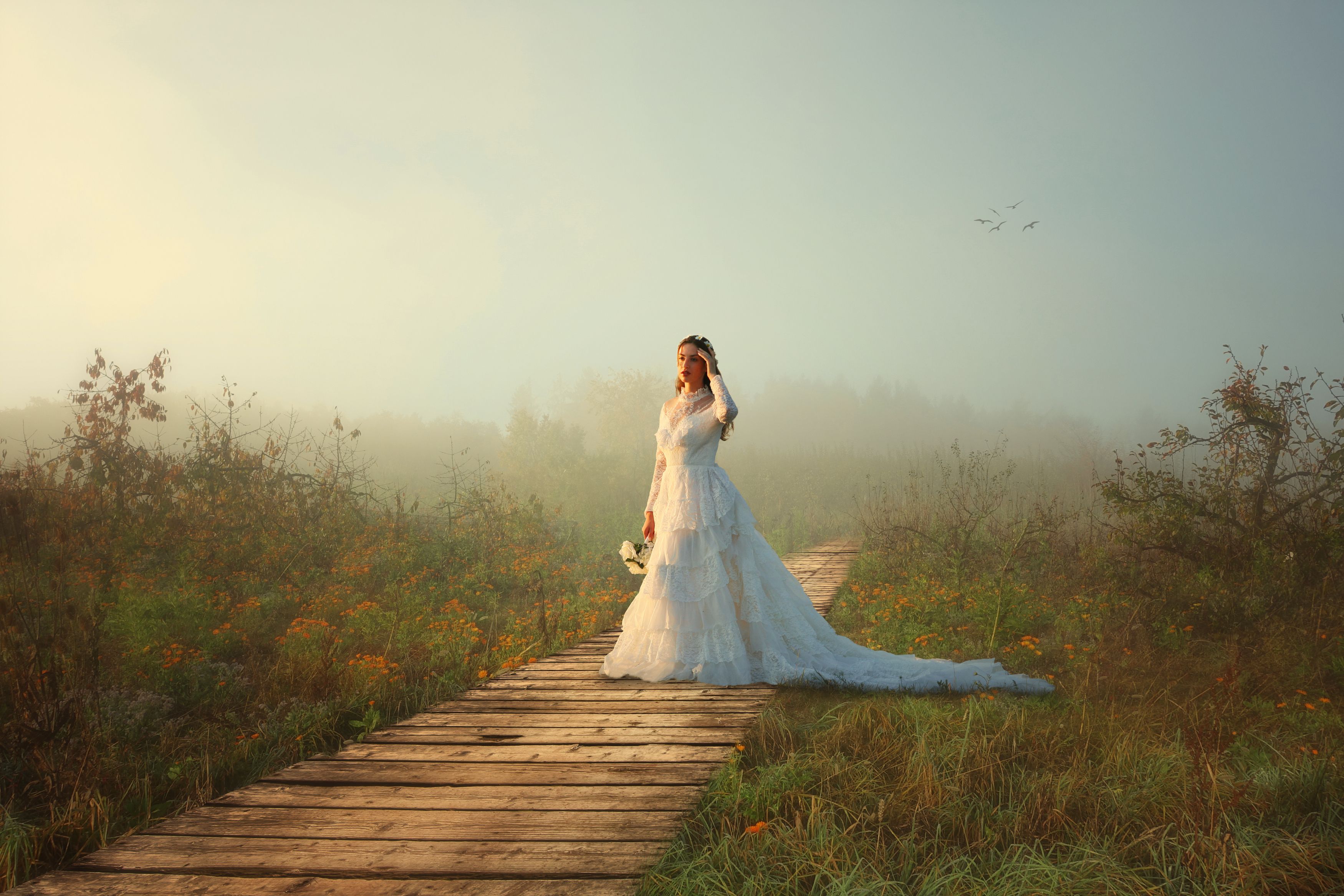 невеста, поле, облака, Sergii Vidov