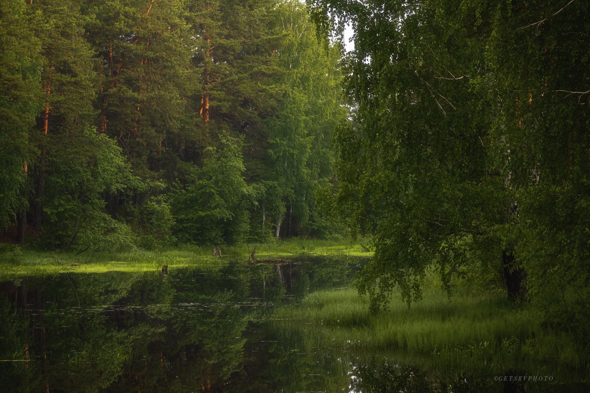 пруд, лес, пейзаж, Евгений Гецев