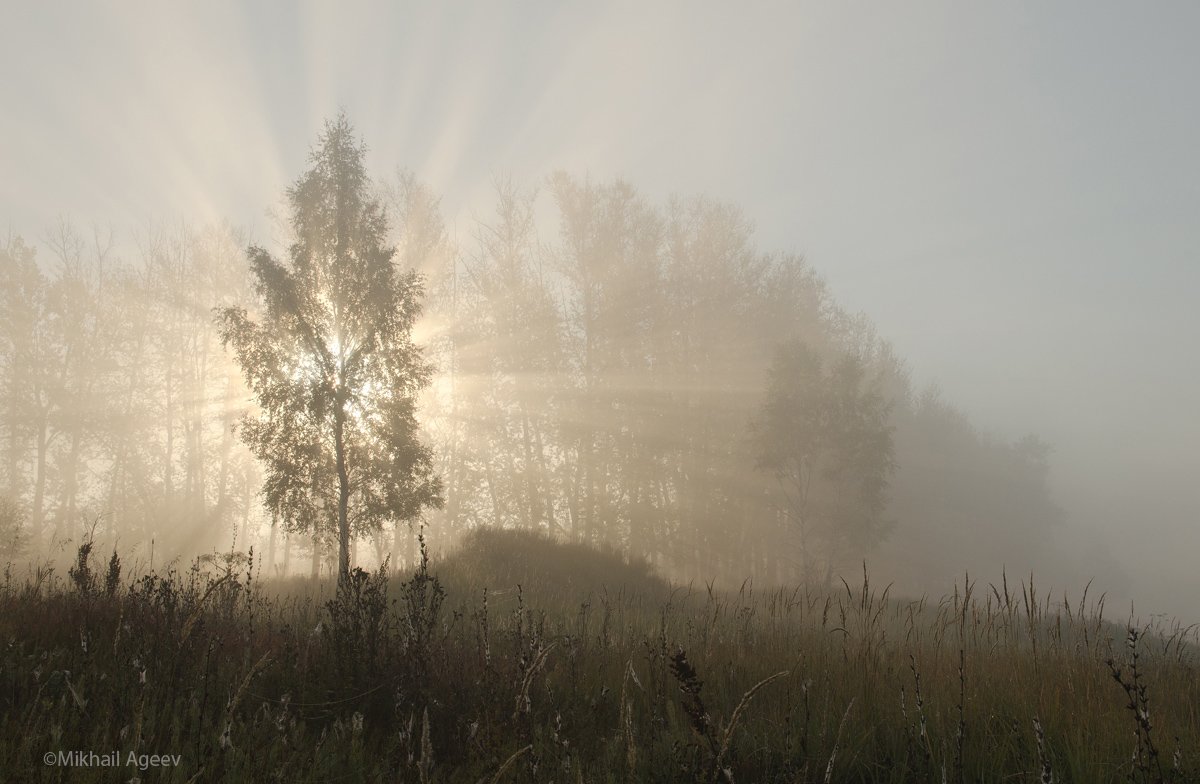 утро, туман, свет, архангельское, Михаил Агеев