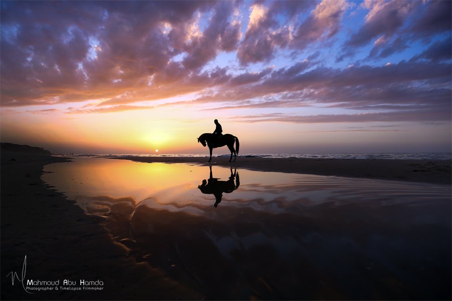 Beach, Horse, Horses, Rides, Sea, Sunsets, Махмуд Хамда