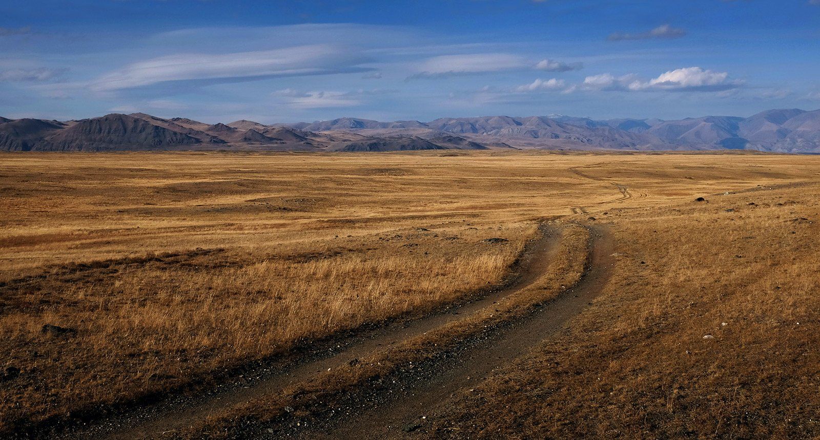 горный алтай, чуйская степь, Юрий Ефимовский