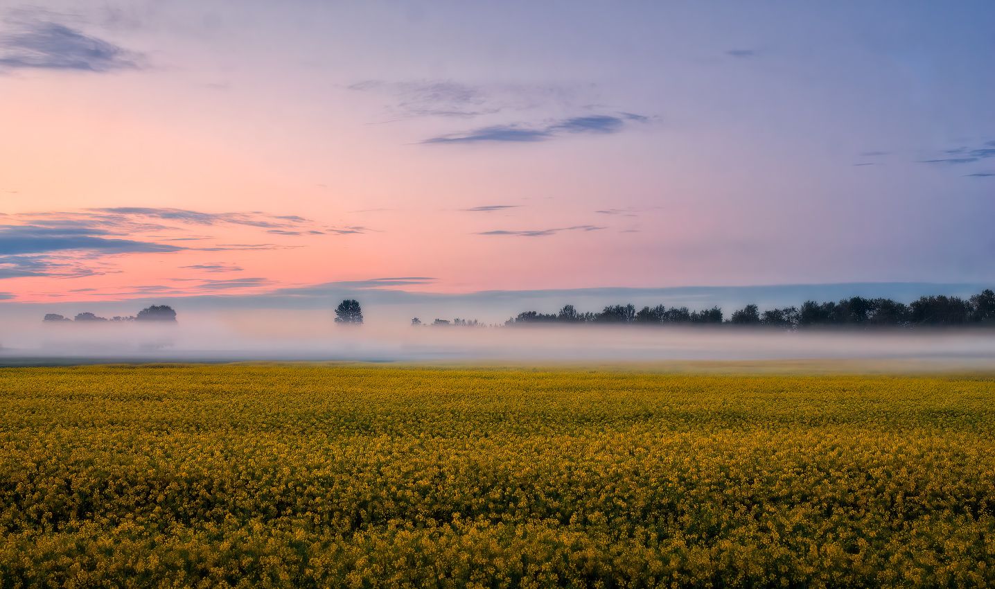 Рассвет в поле. Photographer Sergey Shabunevich
