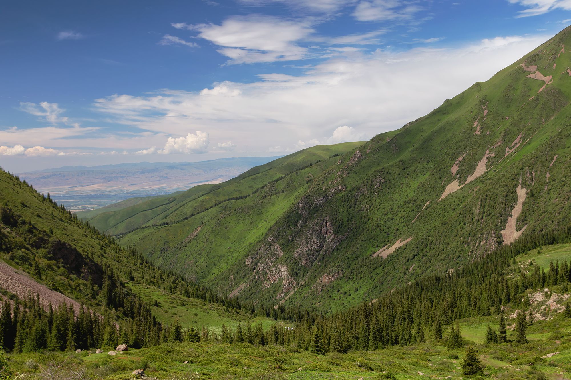 кыргызстан,горы, кель-тор, Элина Магалимова