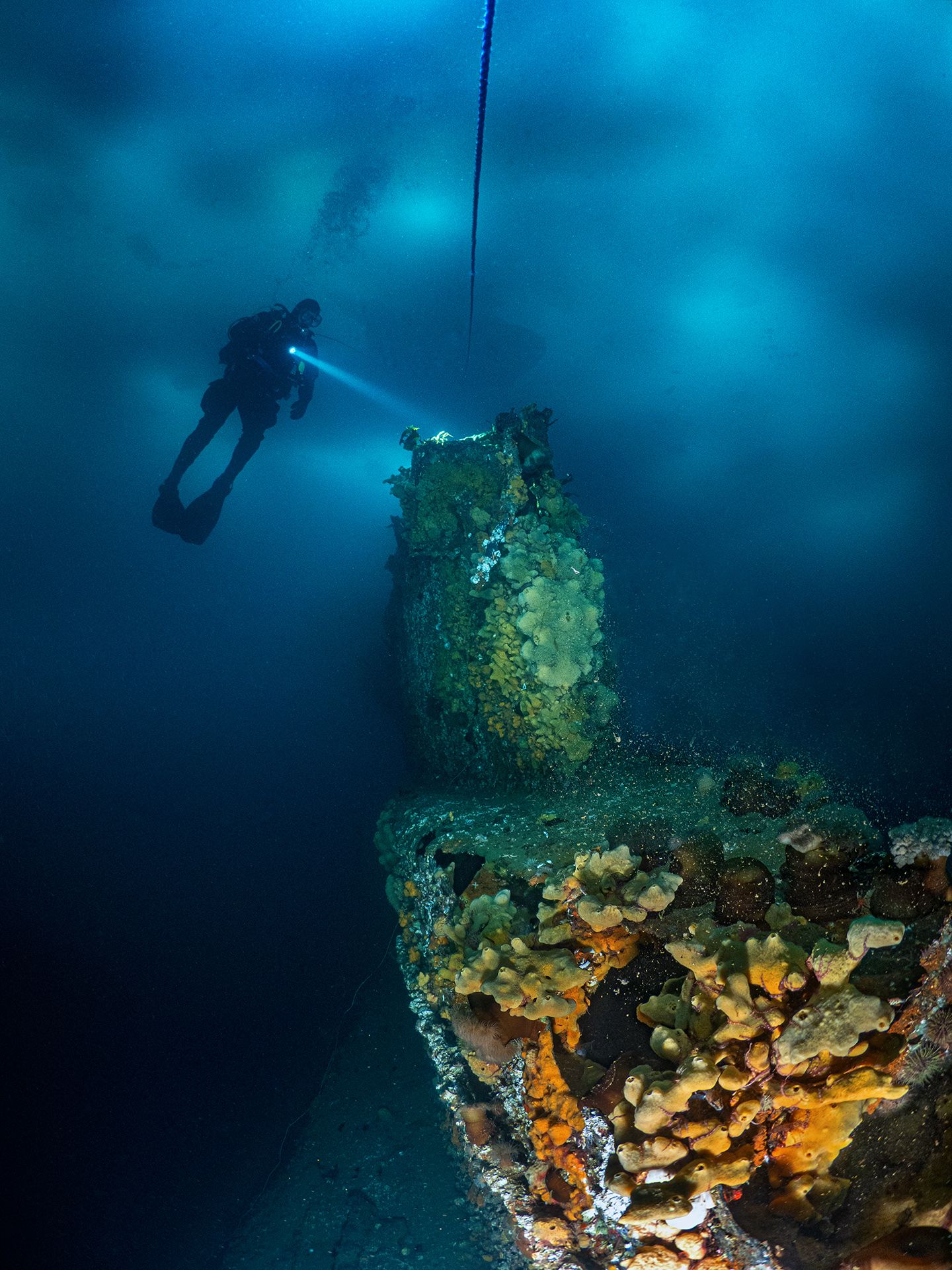 Магадан, подводная съемка, ice diving, Сергей Шанин