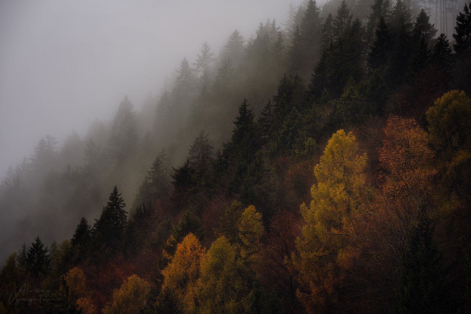 slovenia, outdoor, autumn, red, yellow, trees, travel, topview, Алексей Вымятнин