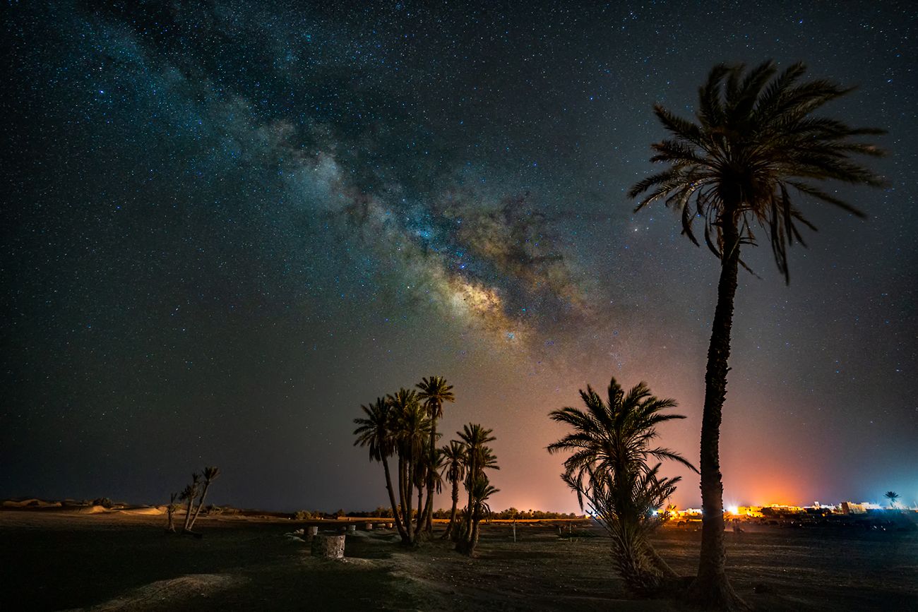 landscape nature scenery night nightphotography stars trees palmtrees milkyway longexposure travel sahara, Александър Александров