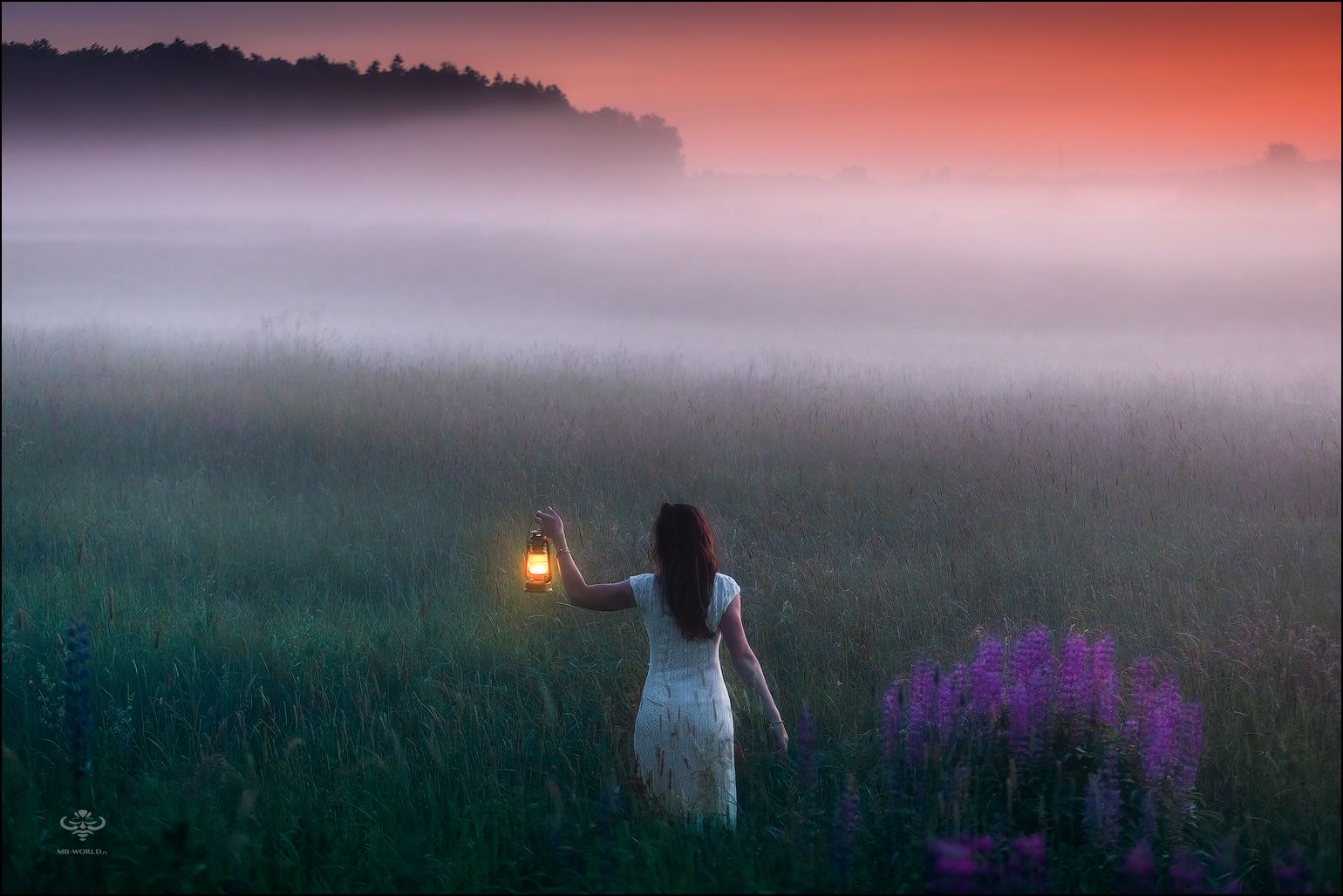 россия, туман, закат, пейзаж, Mikhail Vorobyev
